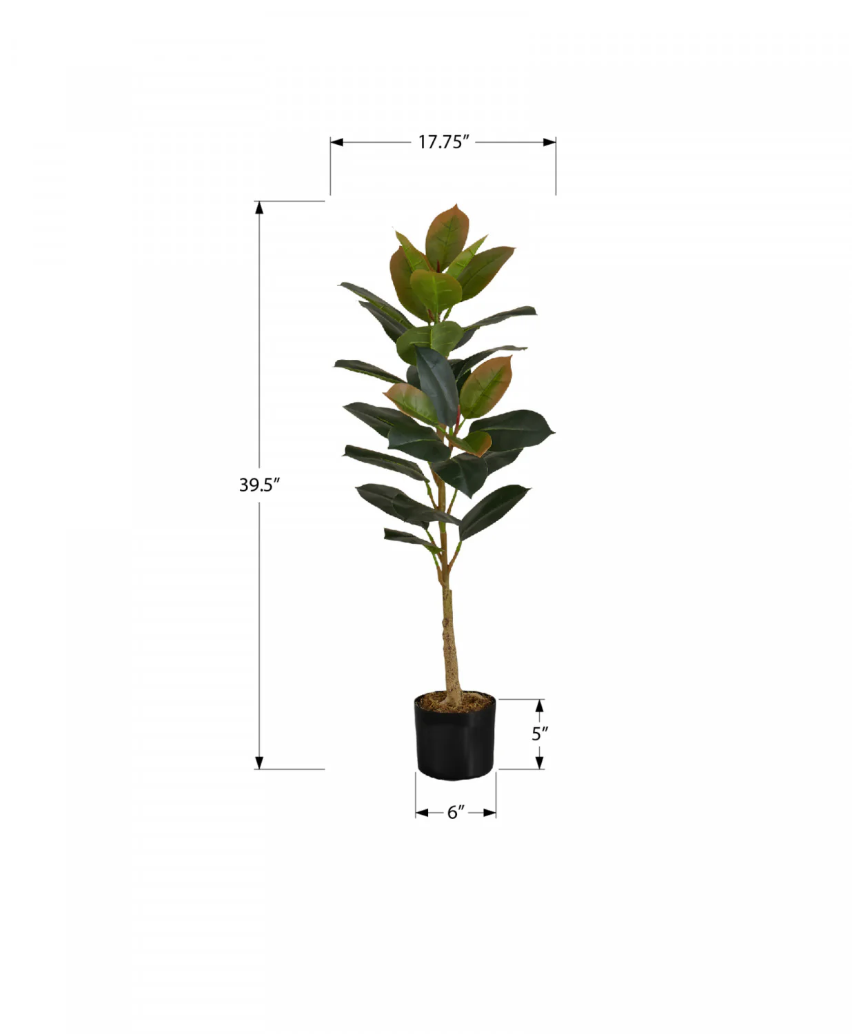 40" Rubber Tree With 5" Black Pot - Green - Image 3