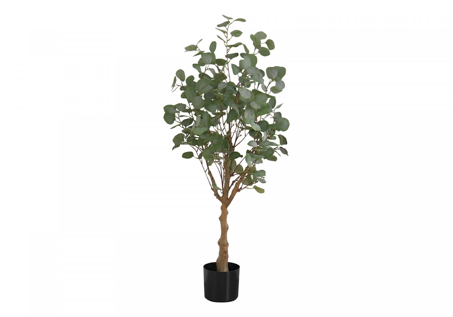 46" Eucalyptus Tree With 5" Black Pot - Green
