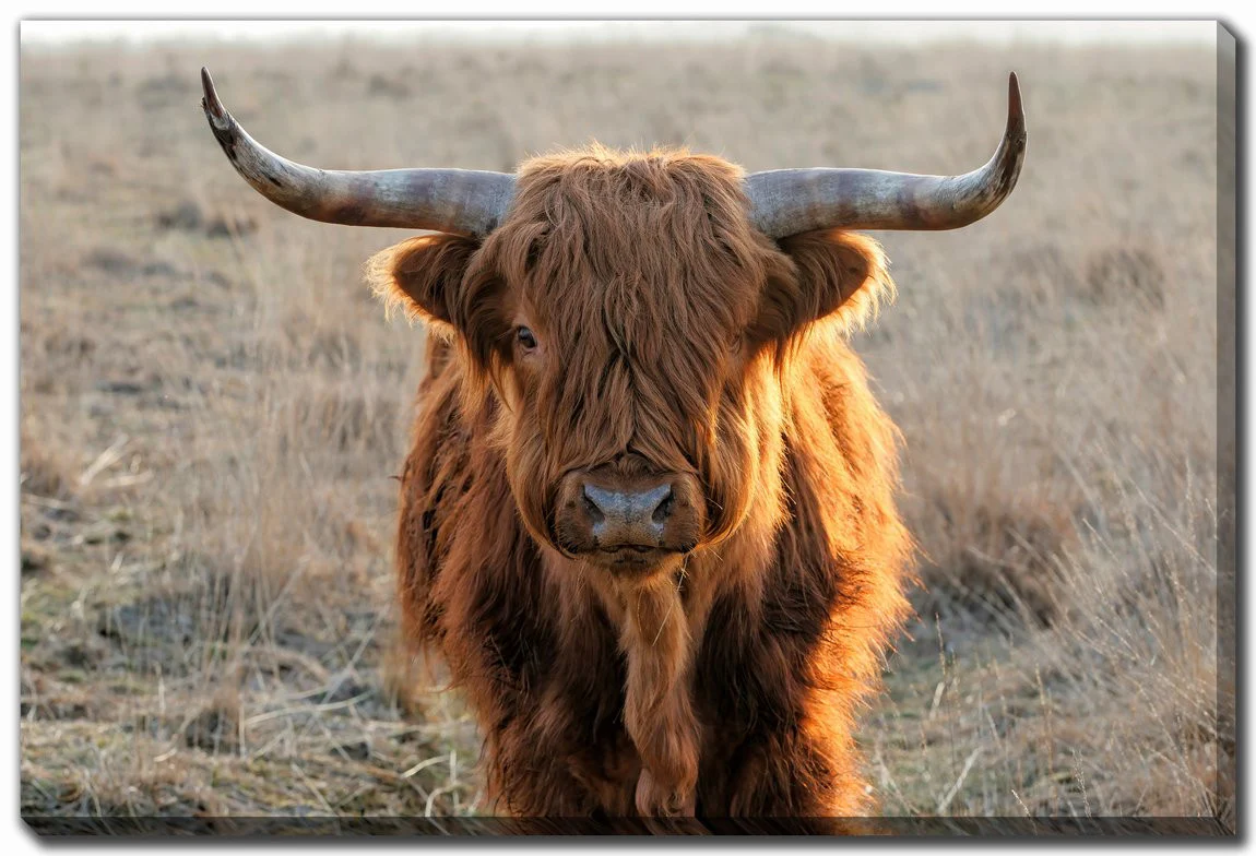 Dusk Wanderer Wall Art - Brown - 30 X 45