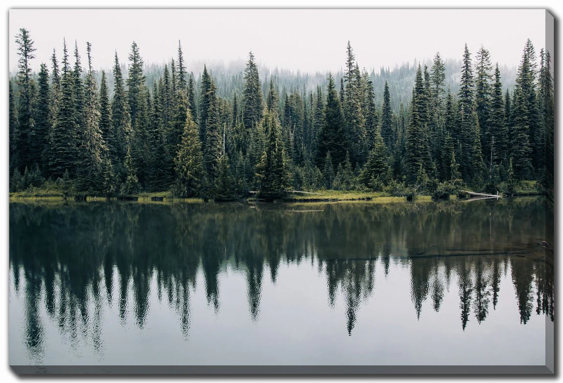 Forest Echo Wall Art - Green - 22 X 28