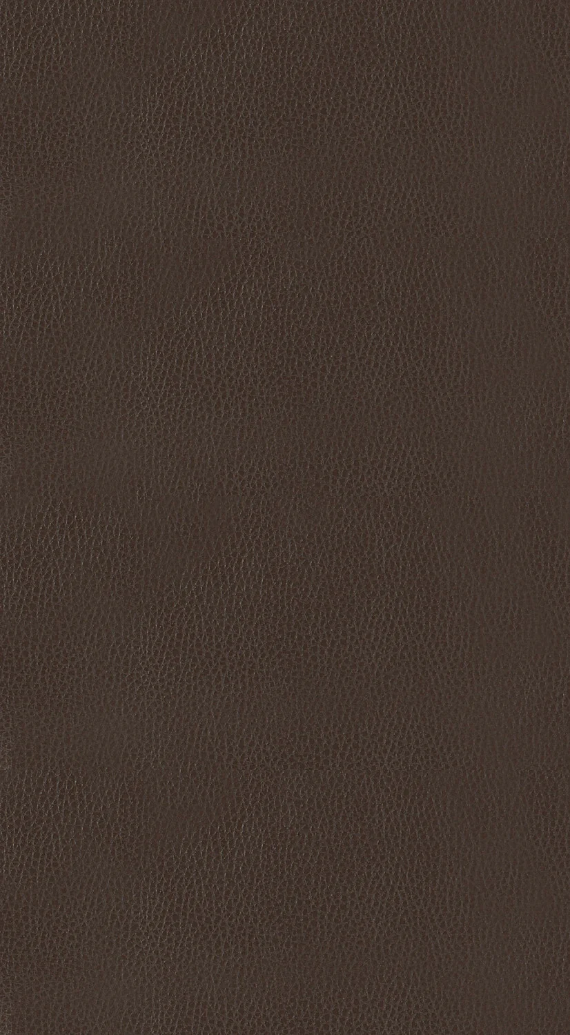 Ordway Counter Stool - Brown - Image 4