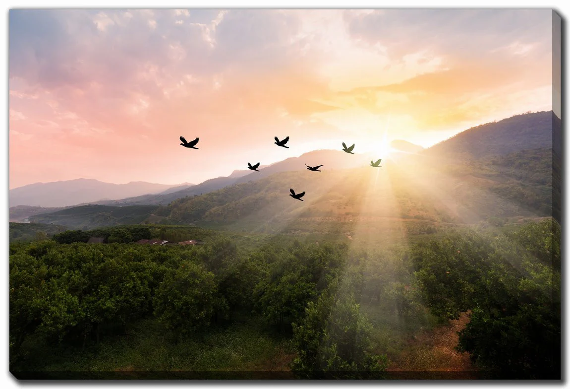 Rise and Soar Wall Art - Green/Orange - 22 X 28